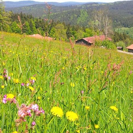 Apartman Sumava - Bavorsky Les Appartement Mitterfirmiansreut Buitenkant foto