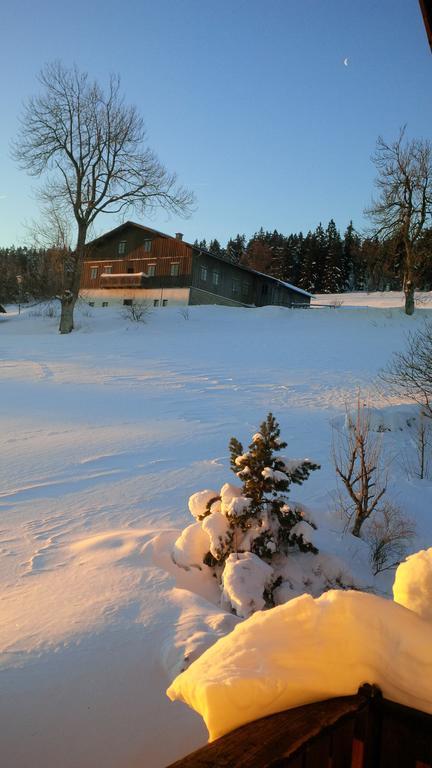 Apartman Sumava - Bavorsky Les Appartement Mitterfirmiansreut Buitenkant foto