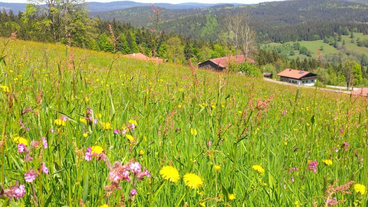 Apartman Sumava - Bavorsky Les Appartement Mitterfirmiansreut Buitenkant foto