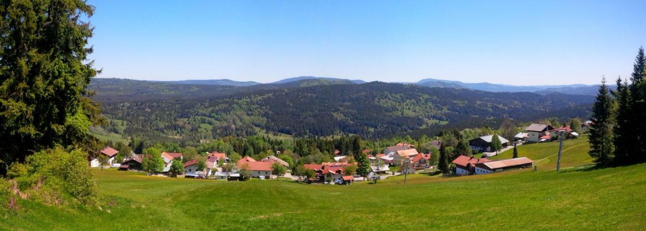 Apartman Sumava - Bavorsky Les Appartement Mitterfirmiansreut Buitenkant foto